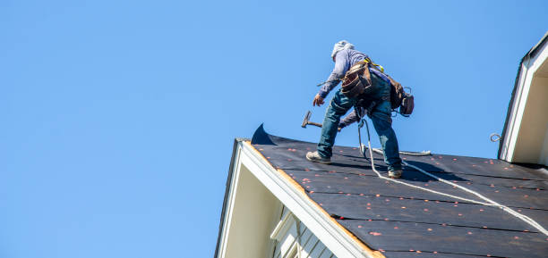 Best Roof Leak Repair  in Fort Branch, IN